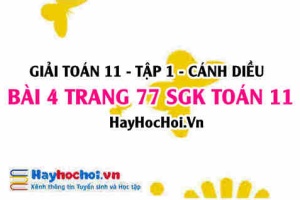 Giải bài 4 trang 77 Toán 11 tập 1 SGK Cánh Diều